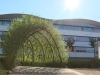 Weidenhaus bit