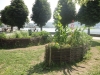 Hochbeete Esplanade Gmunden 2